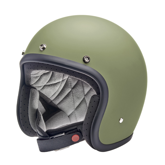 Daisy on the Ohoopee